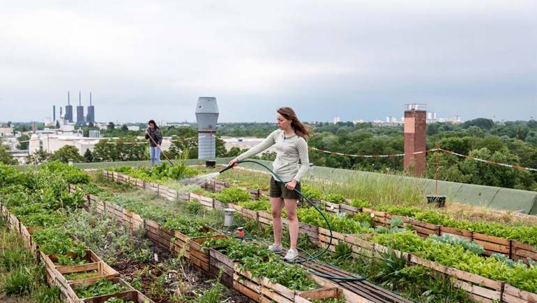 Building Resiliency by Growing Your Own Food